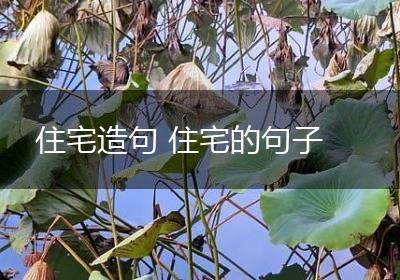 住宅造句 住宅的句子
