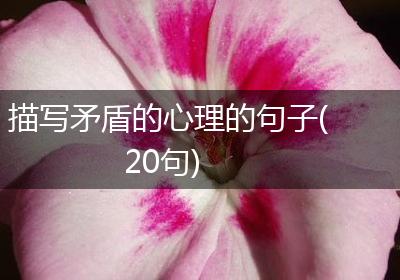 描写矛盾的心理的句子(20句)