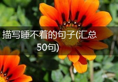 描写睡不着的句子(汇总50句)