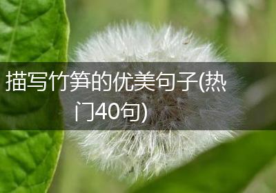 描写竹笋的优美句子(热门40句)