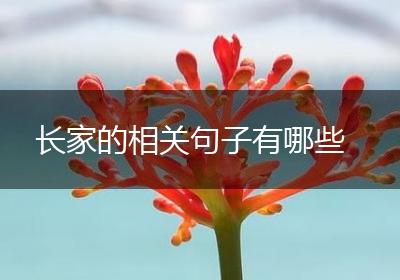 长家的相关句子有哪些