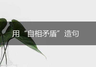 用“自相矛盾”造句