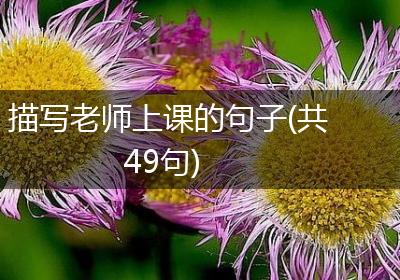 描写老师上课的句子(共49句)