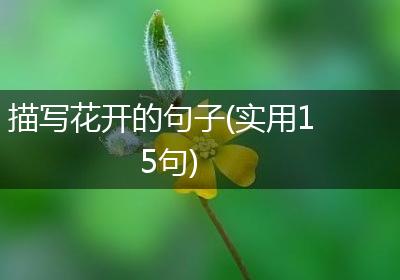 描写花开的句子(实用15句)