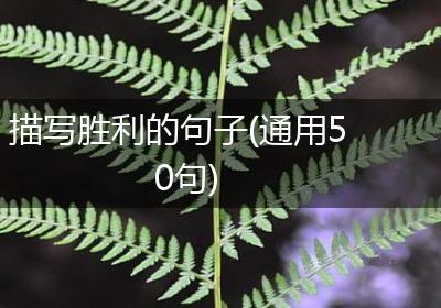 描写胜利的句子(通用50句)
