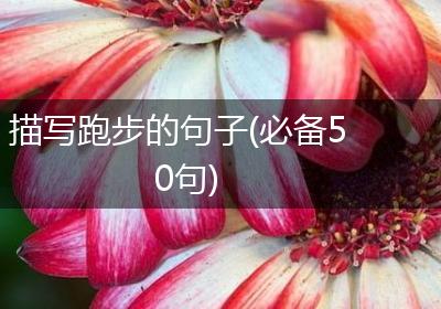 描写跑步的句子(必备50句)