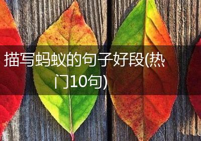 描写蚂蚁的句子好段(热门10句)