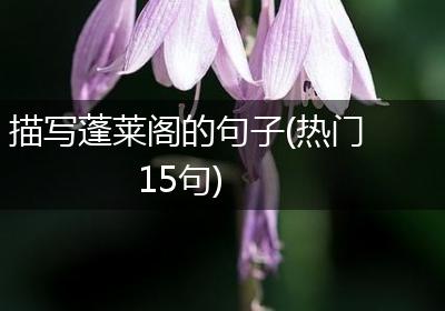 描写蓬莱阁的句子(热门15句)