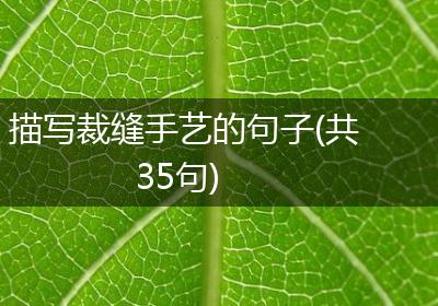 描写裁缝手艺的句子(共35句)
