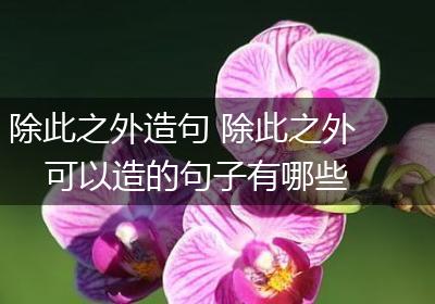 除此之外造句 除此之外可以造的句子有哪些