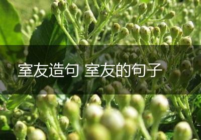 室友造句 室友的句子