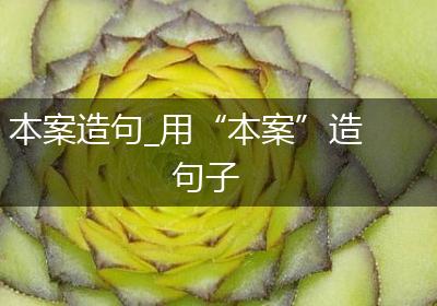 本案造句_用“本案”造句子