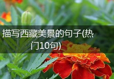 描写西藏美景的句子(热门10句)