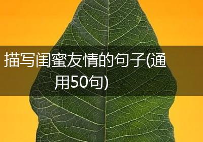 描写闺蜜友情的句子(通用50句)