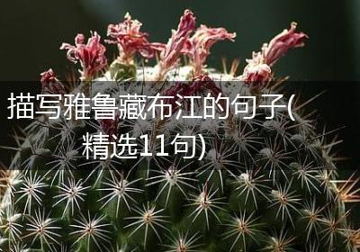 描写雅鲁藏布江的句子(精选11句)