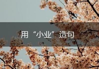 用“小业”造句