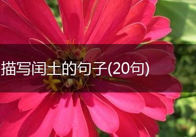 描写闰土的句子(20句)