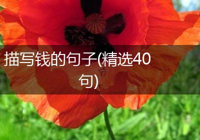 描写钱的句子(精选40句)