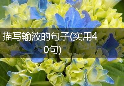 描写输液的句子(实用40句)