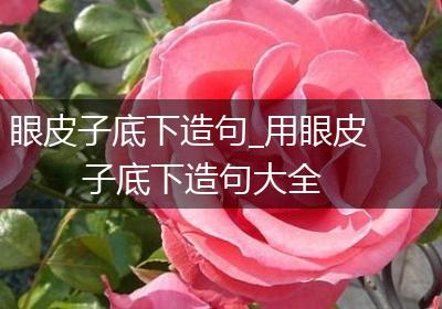 眼皮子底下造句_用眼皮子底下造句大全