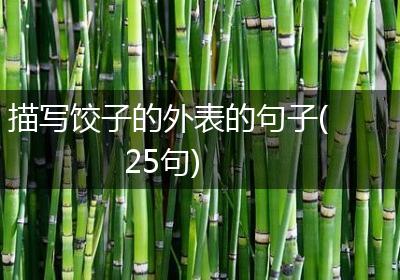 描写饺子的外表的句子(25句)