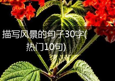 描写风景的句子30字(热门10句)