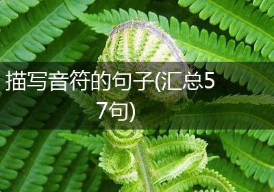描写音符的句子(汇总57句)