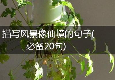 描写风景像仙境的句子(必备20句)