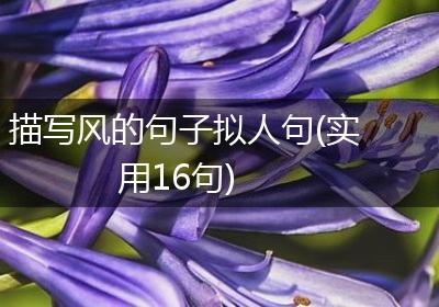 描写风的句子拟人句(实用16句)