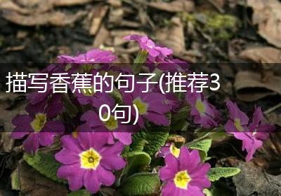 描写香蕉的句子(推荐30句)