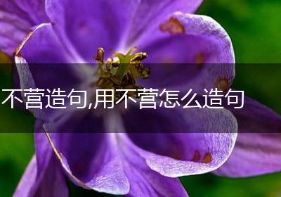 不营造句,用不营怎么造句