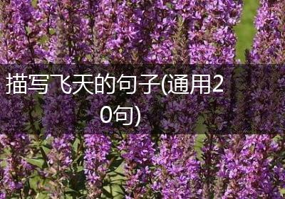 描写飞天的句子(通用20句)