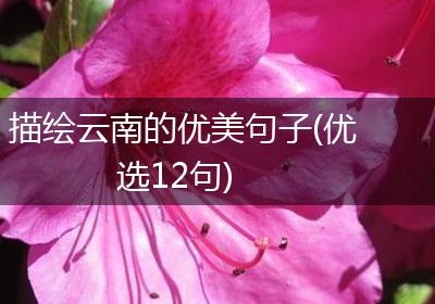 描绘云南的优美句子(优选12句)