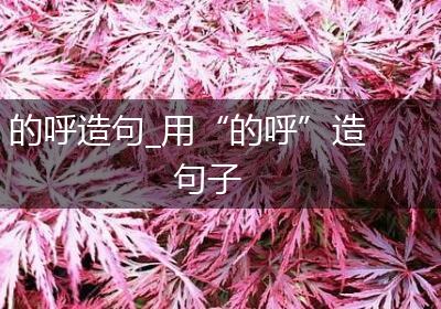的呼造句_用“的呼”造句子