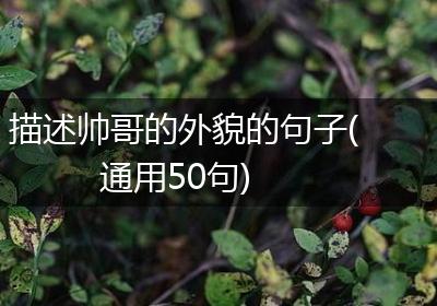 描述帅哥的外貌的句子(通用50句)