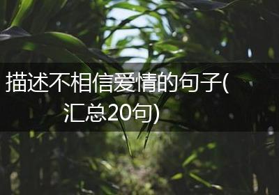 描述不相信爱情的句子(汇总20句)