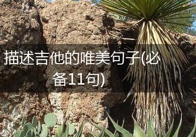 描述吉他的唯美句子(必备11句)