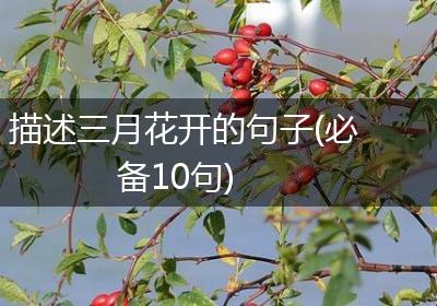 描述三月花开的句子(必备10句)