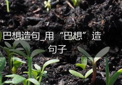 巴想造句_用“巴想”造句子