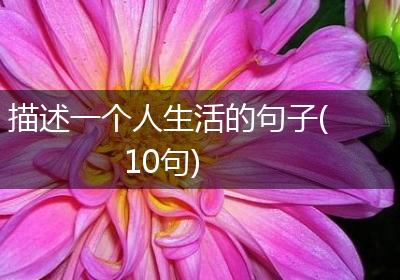描述一个人生活的句子(10句)