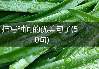 描写时间的优美句子(50句)