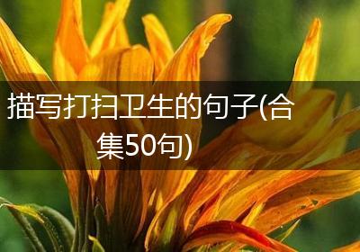 描写打扫卫生的句子(合集50句)