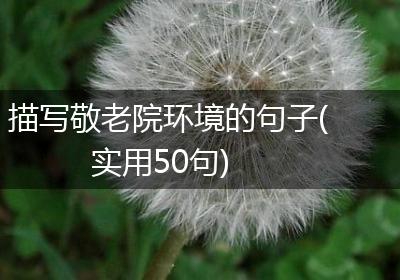 描写敬老院环境的句子(实用50句)