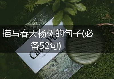 描写春天杨树的句子(必备52句)