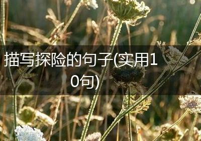 描写探险的句子(实用10句)