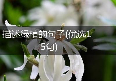 描述绿植的句子(优选15句)