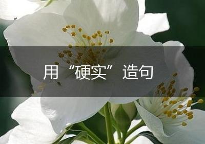用“硬实”造句