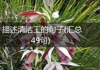 描述清洁工的句子(汇总49句)