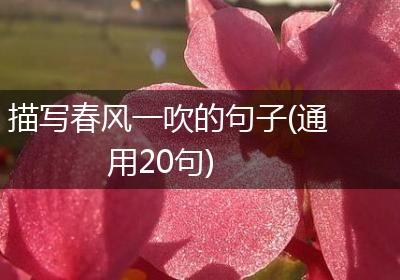 描写春风一吹的句子(通用20句)
