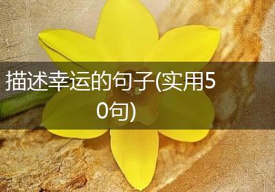 描述幸运的句子(实用50句)